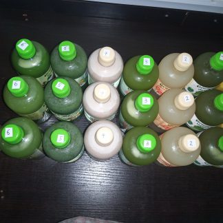 New Year Cleanse